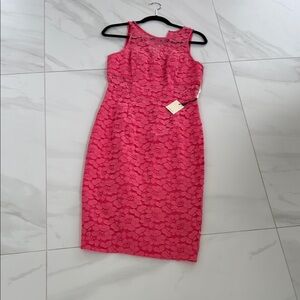 Elegant Pink Lace Dress Trina Turk size 4 NWT